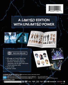 Solo Leveling: Season 1 Limited Edition (Blu-ray + DVD)
