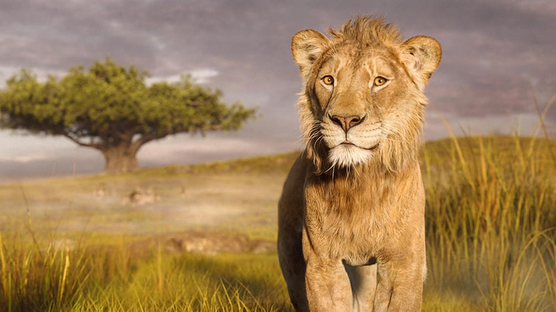 Mufasa: The Lion King - 4K UHD/BD Combo + Digital + Steelbook-5