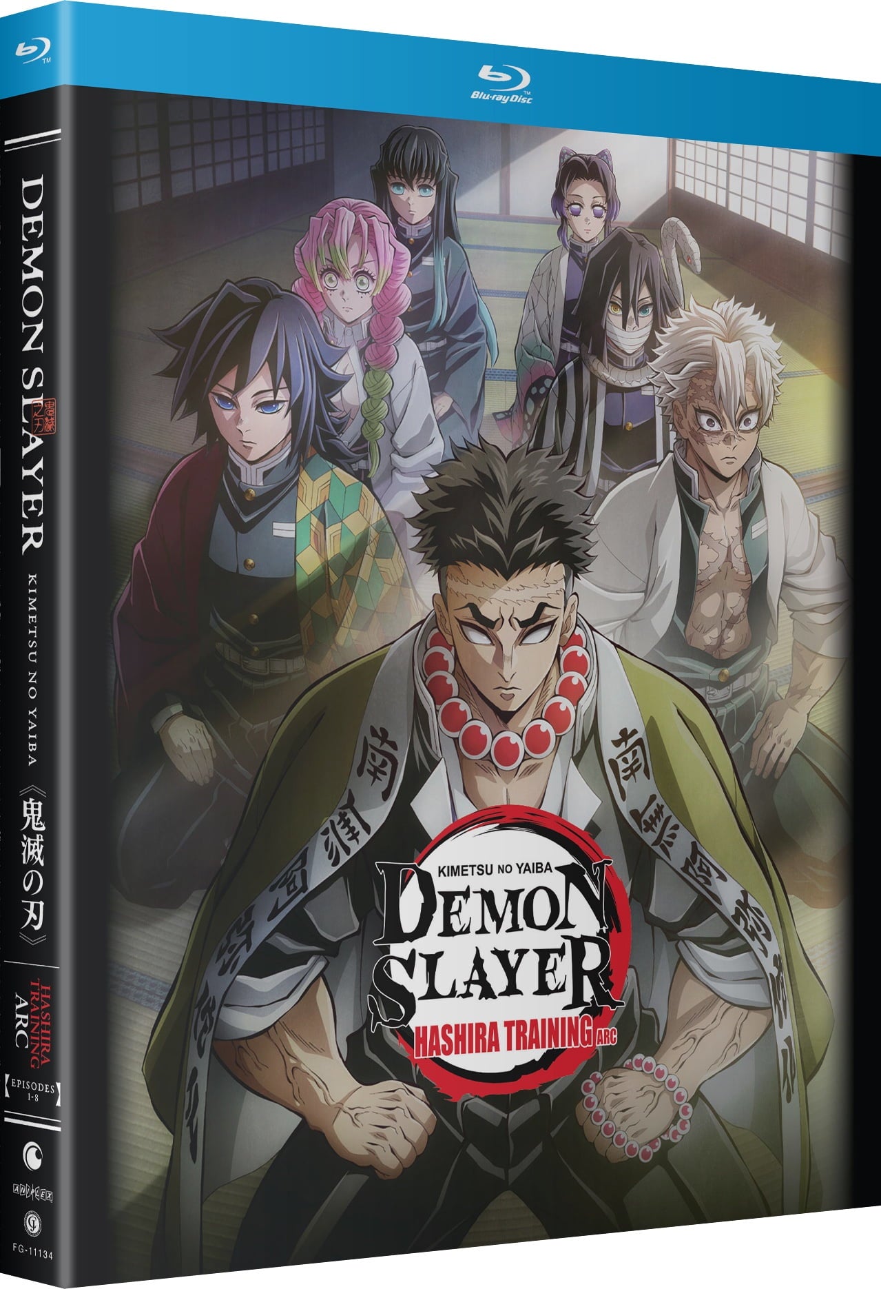 Demon Slayer: Kimetsu no Yaiba: Hashira Training Arc (Blu-ray)