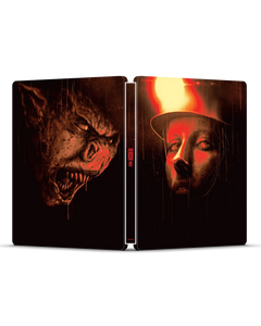 The Descent: Part 2 limited edition SteelBook product view