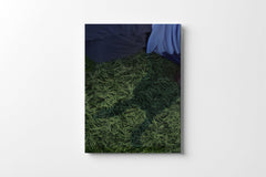 Donnie Darko 4K UHD mediabook back cover product photo