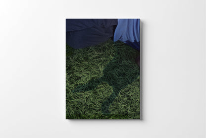 Donnie Darko 4K UHD mediabook back cover product photo