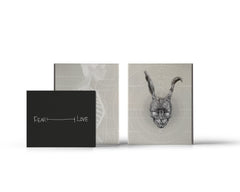 Donnie Darko 4K UHD slipcase front back and numbered card product photo