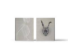 Donnie Darko 4K UHD slipcase front and back product photo