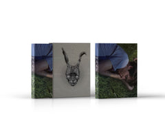 Donnie Darko 4K UHD slipcase front and back artwork product photo