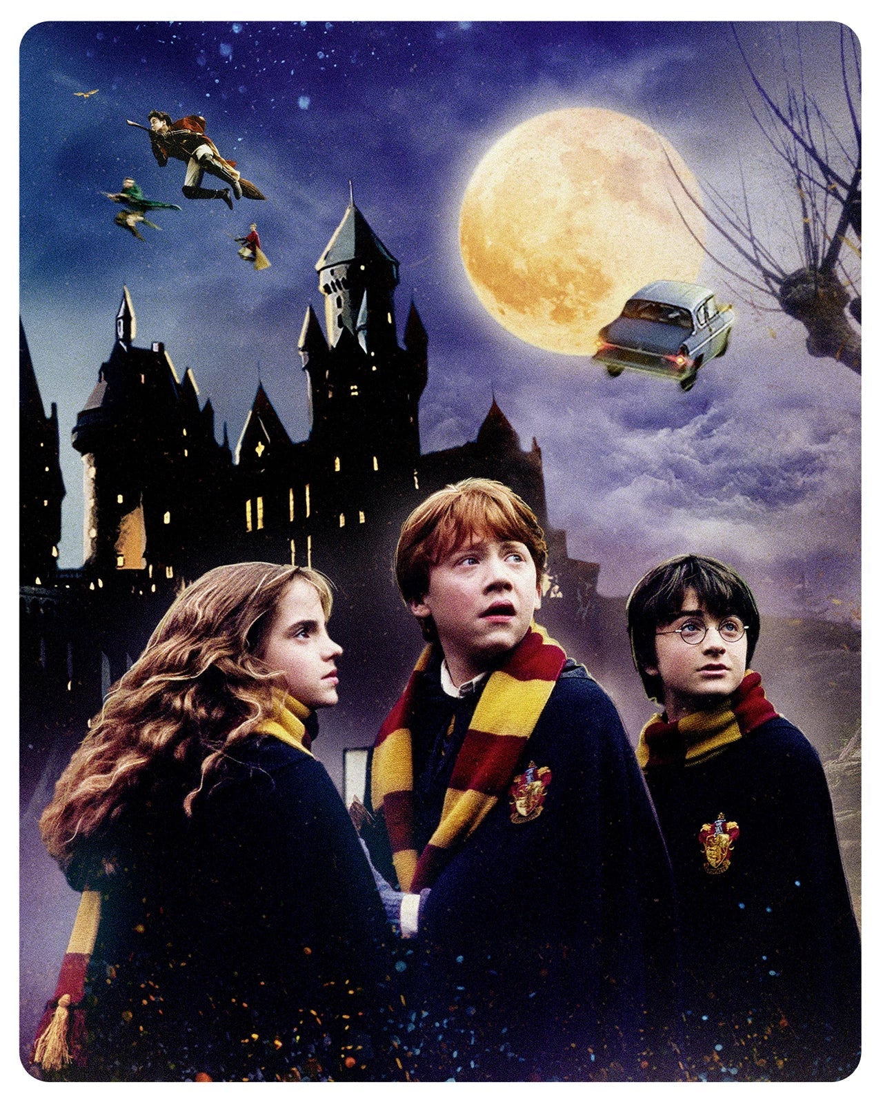 Harry Potter - Complete 8-Film 25th Anniversary Steelbook Collection (4K Ultra HD) — physical product view 9